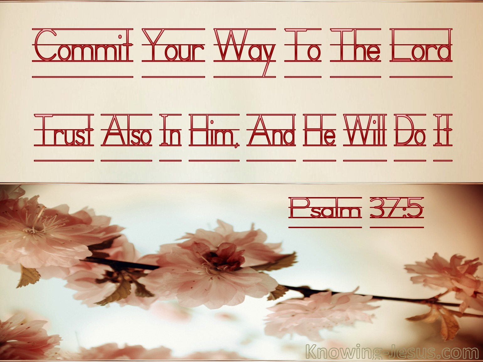 psalm-37-5-6-bible-verse-of-the-day-dailyverses